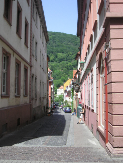 Blick von der in der Altstadt gelegenen Hauptstrae (Fugngerzone) zum Neckar